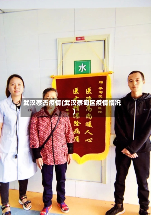 武汉蔡杰疫情(武汉蔡甸区疫情情况)