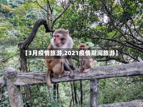 【3月疫情旅游,2021疫情期间旅游】