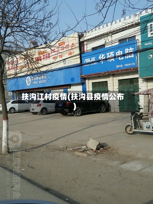 扶沟江村疫情(扶沟县疫情公布)