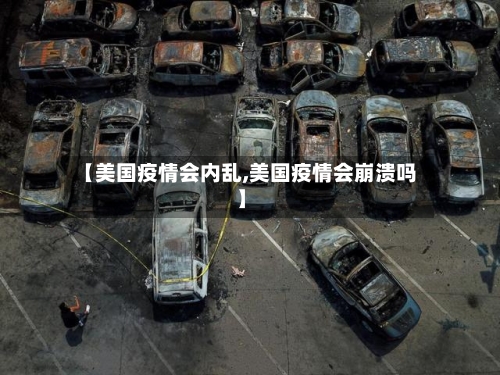 【美国疫情会内乱,美国疫情会崩溃吗】-第3张图片