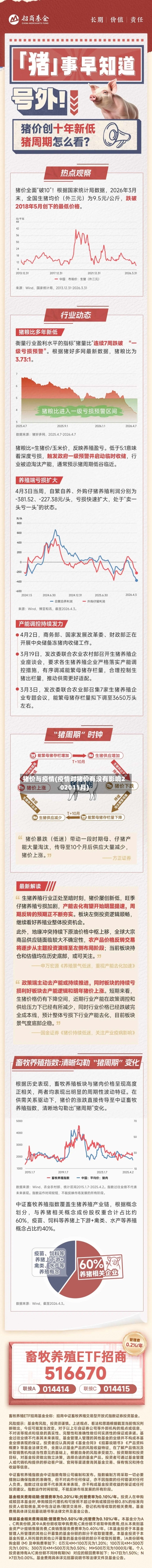 猪价与疫情(疫情对猪价有没有影响202011月)-第2张图片