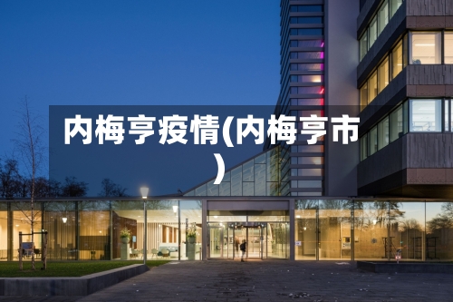 内梅亨疫情(内梅亨市)-第3张图片