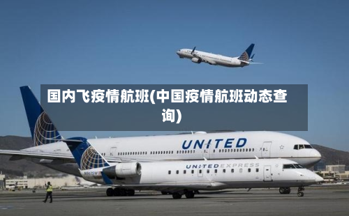 国内飞疫情航班(中国疫情航班动态查询)