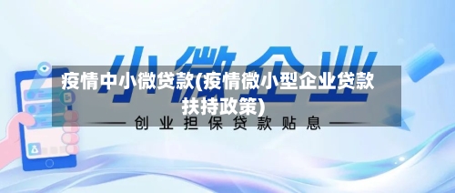 疫情中小微贷款(疫情微小型企业贷款扶持政策)-第2张图片