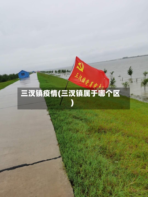 三汊镇疫情(三汊镇属于哪个区)