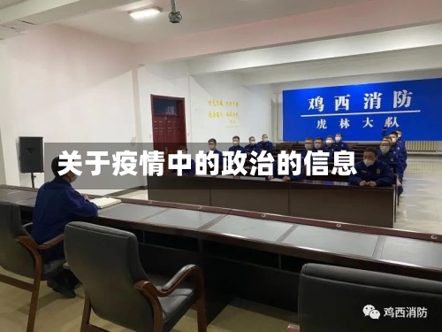 关于疫情中的政治的信息