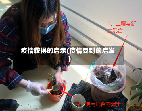 疫情获得的启示(疫情受到的启发)-第3张图片