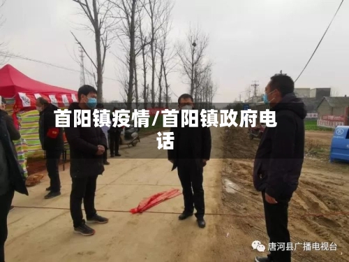首阳镇疫情/首阳镇政府电话-第3张图片