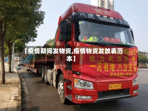 【疫情期间发物资,疫情物资发放表范本】