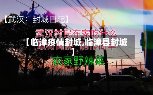 【临漳疫情封城,临漳县封城】