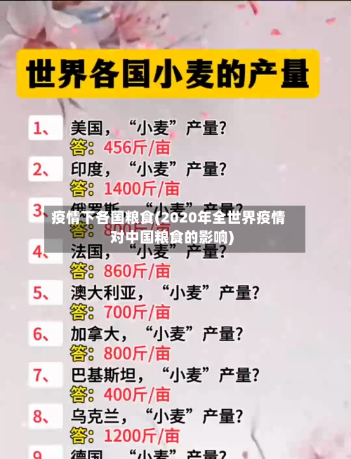 疫情下各国粮食(2020年全世界疫情对中国粮食的影响)-第2张图片