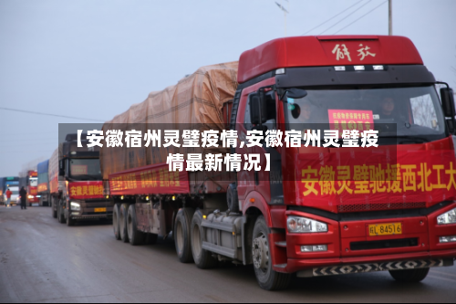 【安徽宿州灵璧疫情,安徽宿州灵璧疫情最新情况】