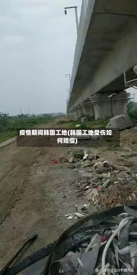 疫情期间韩国工地(韩国工地受伤如何赔偿)