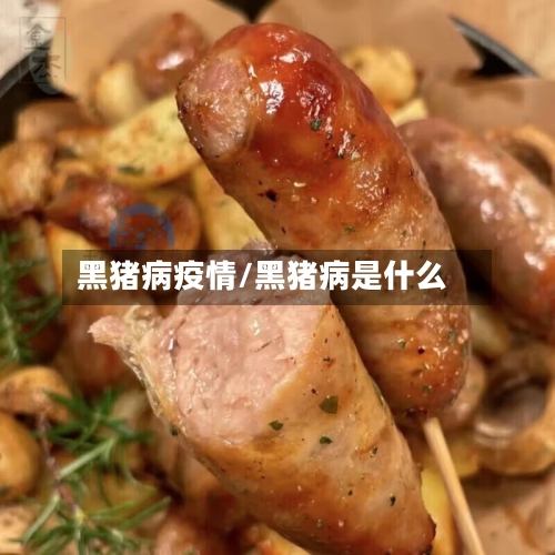 黑猪病疫情/黑猪病是什么-第2张图片
