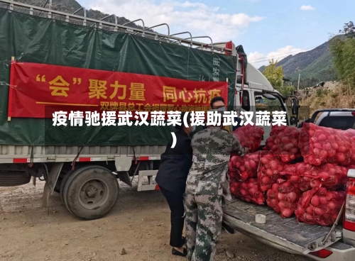 疫情驰援武汉蔬菜(援助武汉蔬菜)