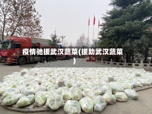 疫情驰援武汉蔬菜(援助武汉蔬菜)-第3张图片