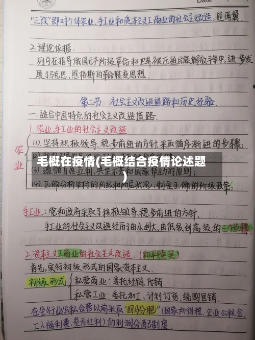 毛概在疫情(毛概结合疫情论述题)-第3张图片