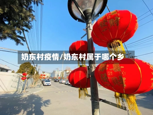 奶东村疫情/奶东村属于哪个乡