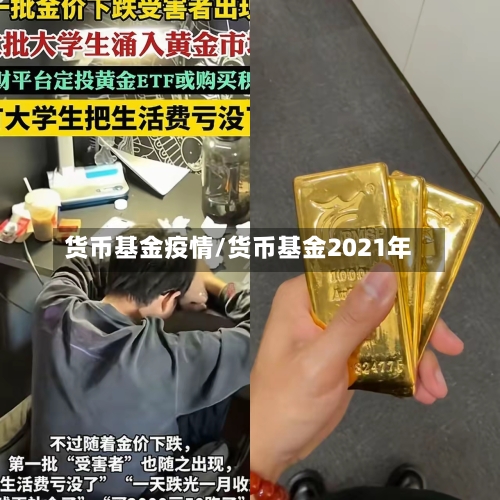 货币基金疫情/货币基金2021年