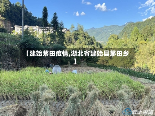 【建始茅田疫情,湖北省建始县茅田乡】