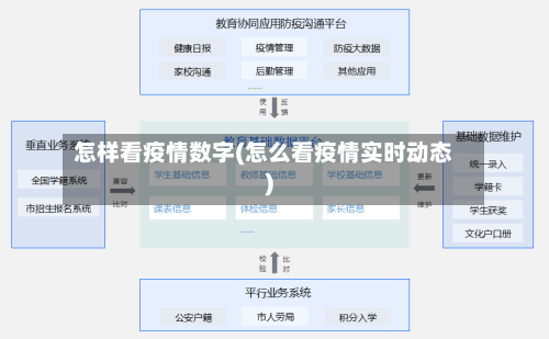 怎样看疫情数字(怎么看疫情实时动态)-第2张图片
