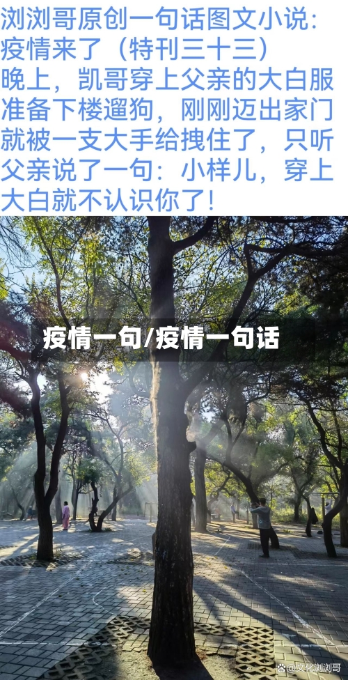 疫情一句/疫情一句话