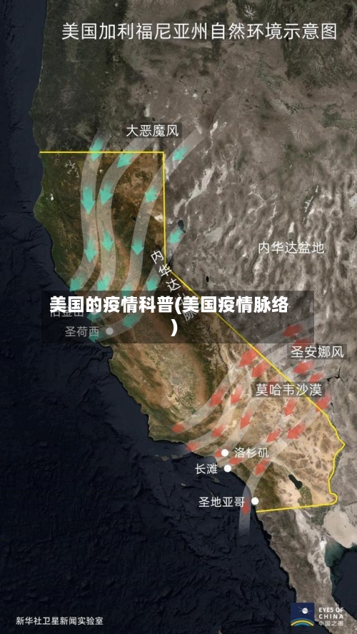 美国的疫情科普(美国疫情脉络)