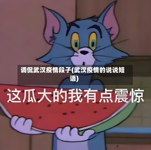 调侃武汉疫情段子(武汉疫情的说说短语)-第2张图片