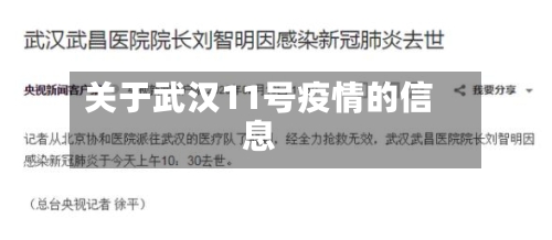关于武汉11号疫情的信息-第3张图片