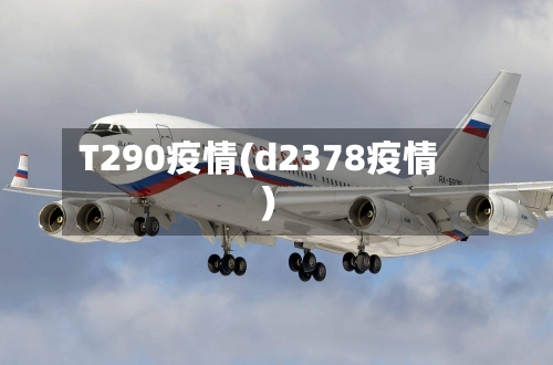 T290疫情(d2378疫情)