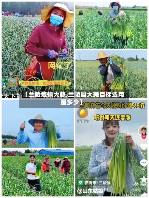 【兰陵疫情大蒜,兰陵县大蒜目标费用是多少】-第2张图片