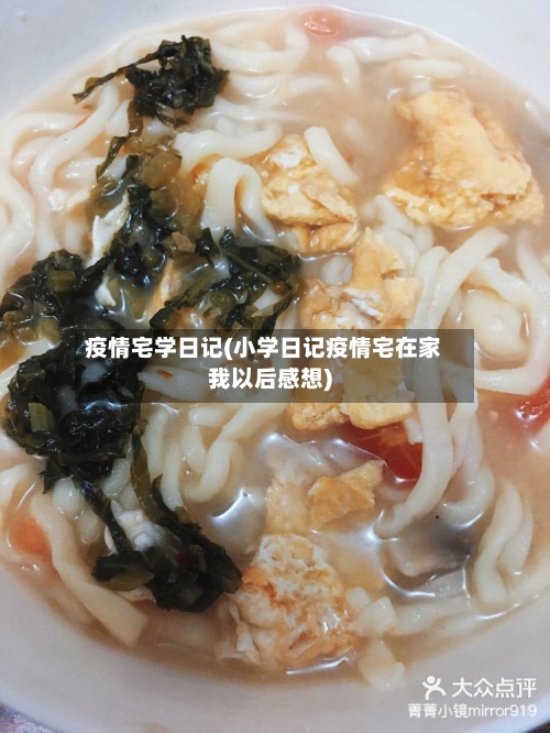 疫情宅学日记(小学日记疫情宅在家我以后感想)