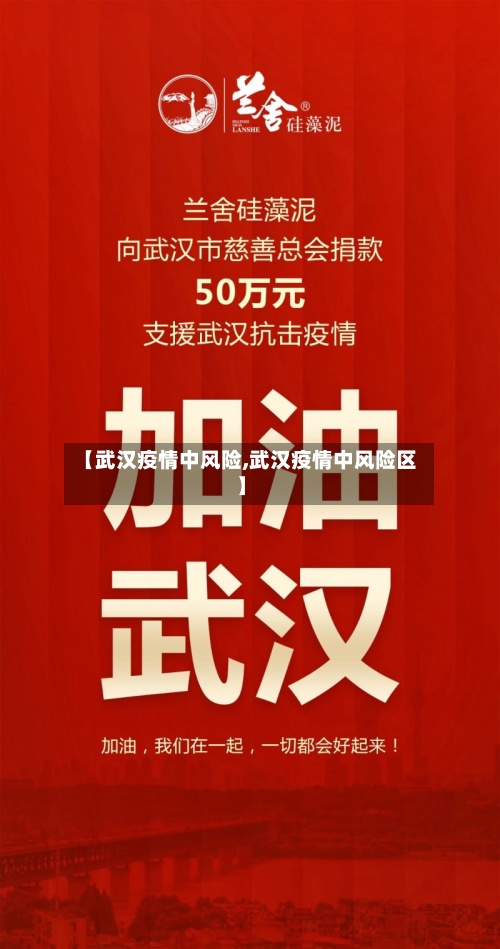 【武汉疫情中风险,武汉疫情中风险区】-第2张图片