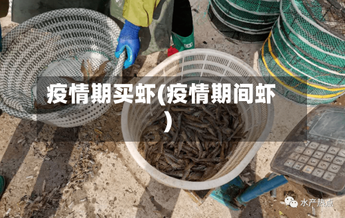 疫情期买虾(疫情期间虾)