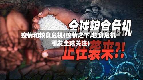 疫情和粮食危机(疫情之下,粮食危机引发全球关注)