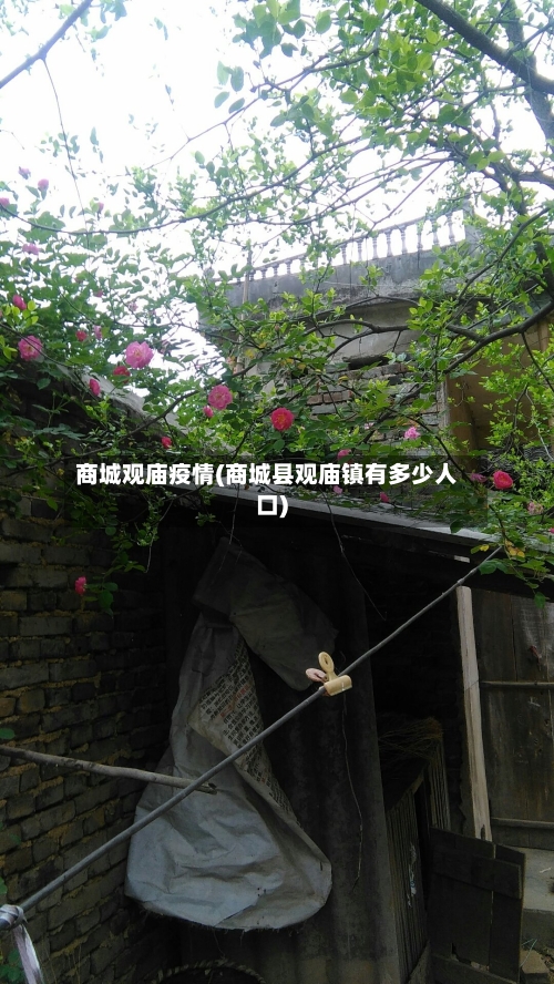 商城观庙疫情(商城县观庙镇有多少人口)-第3张图片
