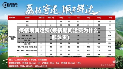 疫情期间运费(疫情期间运费为什么那么贵)