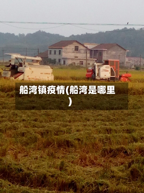 船湾镇疫情(船湾是哪里)