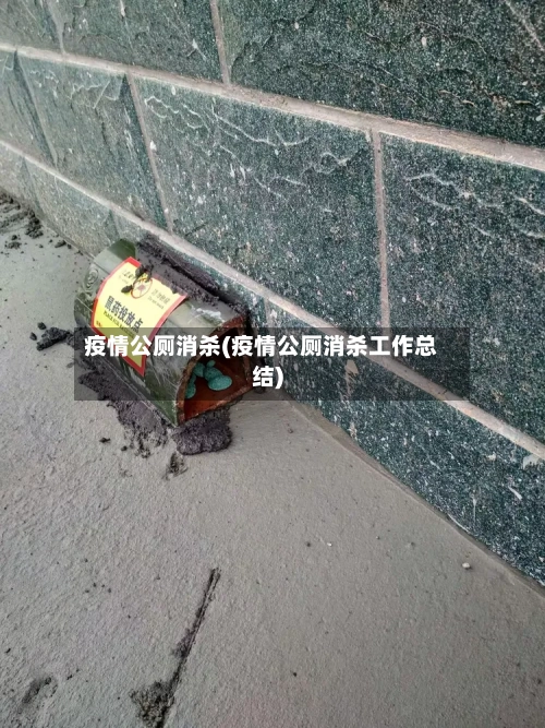 疫情公厕消杀(疫情公厕消杀工作总结)-第2张图片