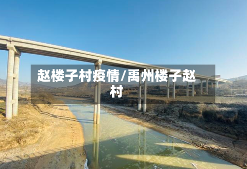 赵楼子村疫情/禹州楼子赵村-第2张图片