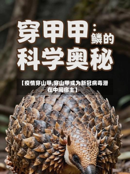 【疫情穿山甲,穿山甲或为新冠病毒潜在中间宿主】