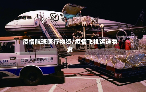 疫情航班医疗物资/疫情飞机运送物资