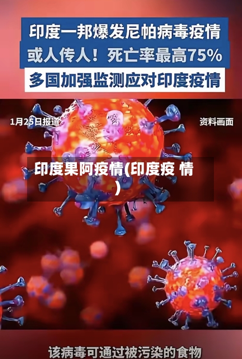 印度果阿疫情(印度疫 情)-第2张图片