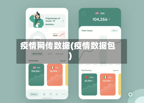 疫情网传数据(疫情数据包)