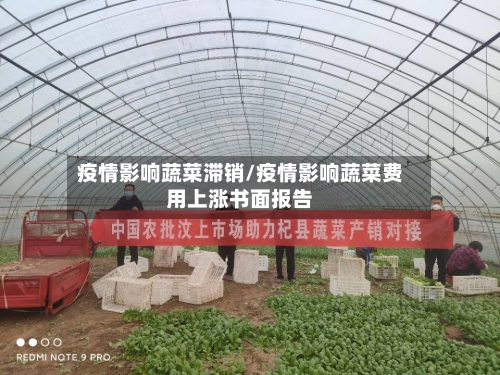 疫情影响蔬菜滞销/疫情影响蔬菜费用上涨书面报告