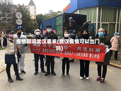 疫情期间武汉要求(武汉疫情可以出门吗)-第2张图片