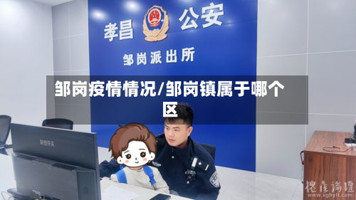 邹岗疫情情况/邹岗镇属于哪个区