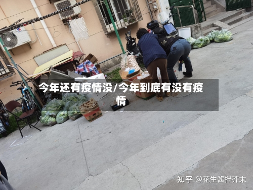 今年还有疫情没/今年到底有没有疫情-第3张图片