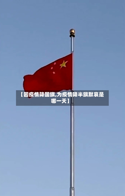 【因疫情降国旗,为疫情降半旗默哀是哪一天】-第2张图片