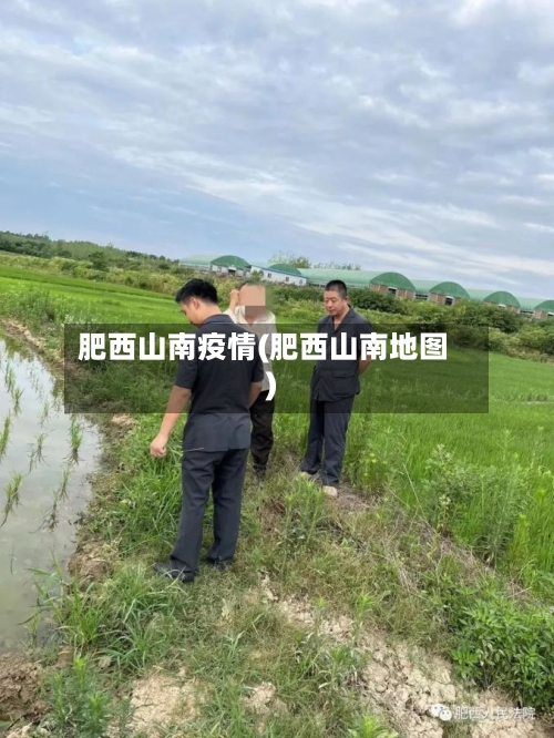 肥西山南疫情(肥西山南地图)-第2张图片